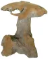 morepic-1